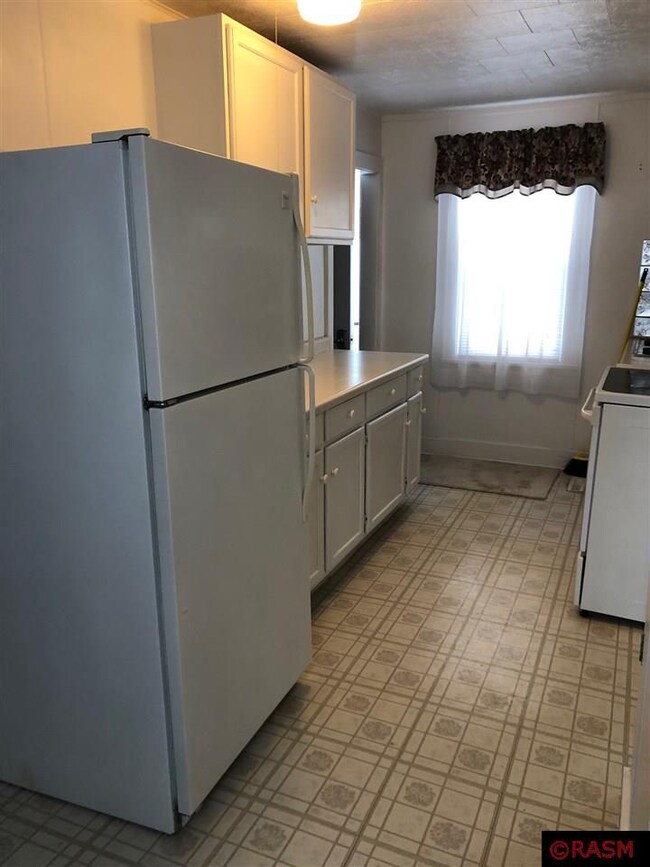 913 W Front St, Albert Lea, MN 56007 - photo 3