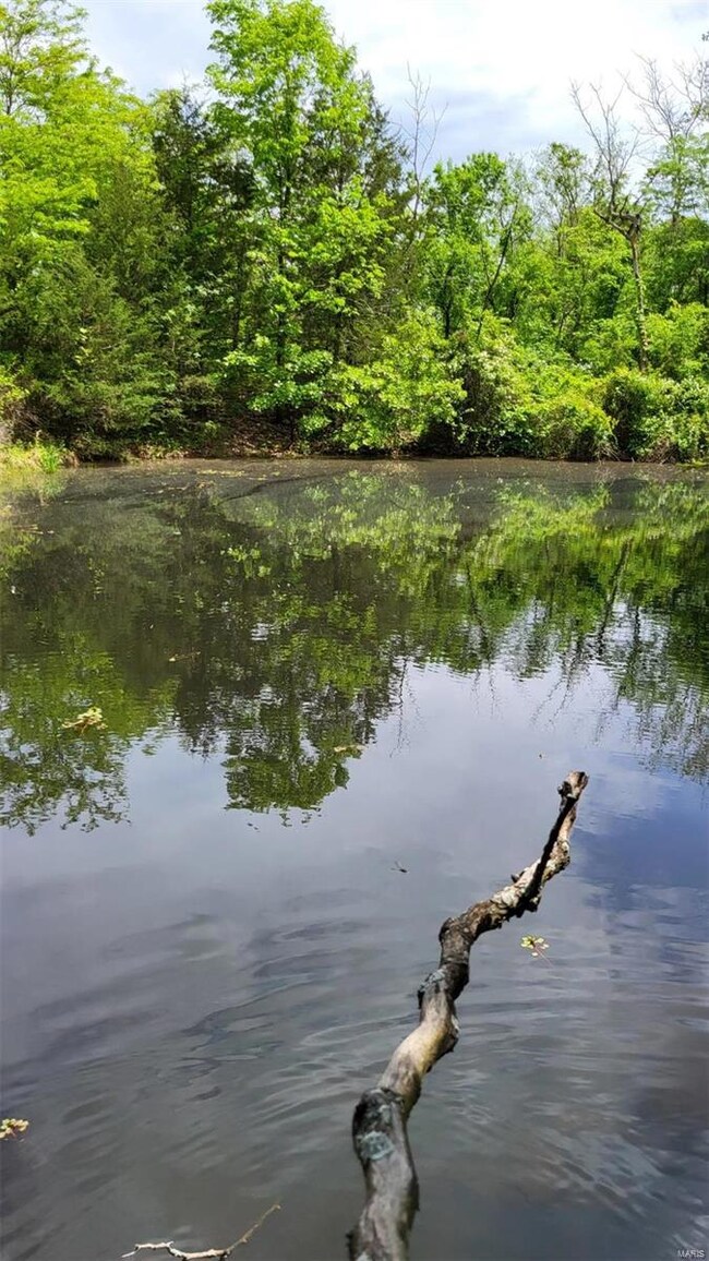 10059 133-203n, Union Township, MO 65459 - photo 6