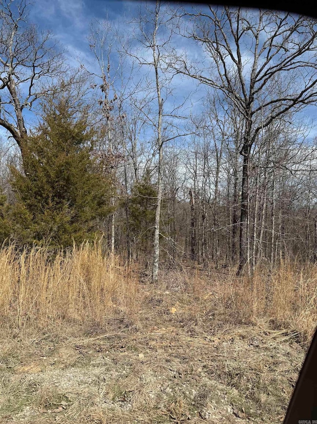 43 Megan Ln, Conway, AR 72032 - photo 2