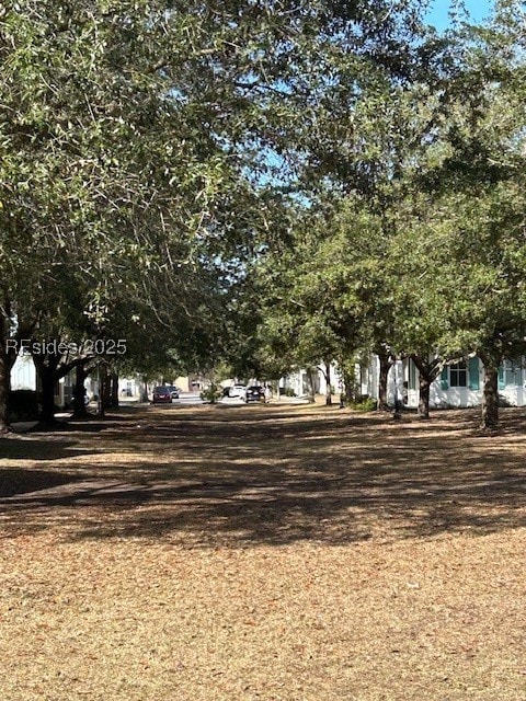 View from the lot looking toward the park area