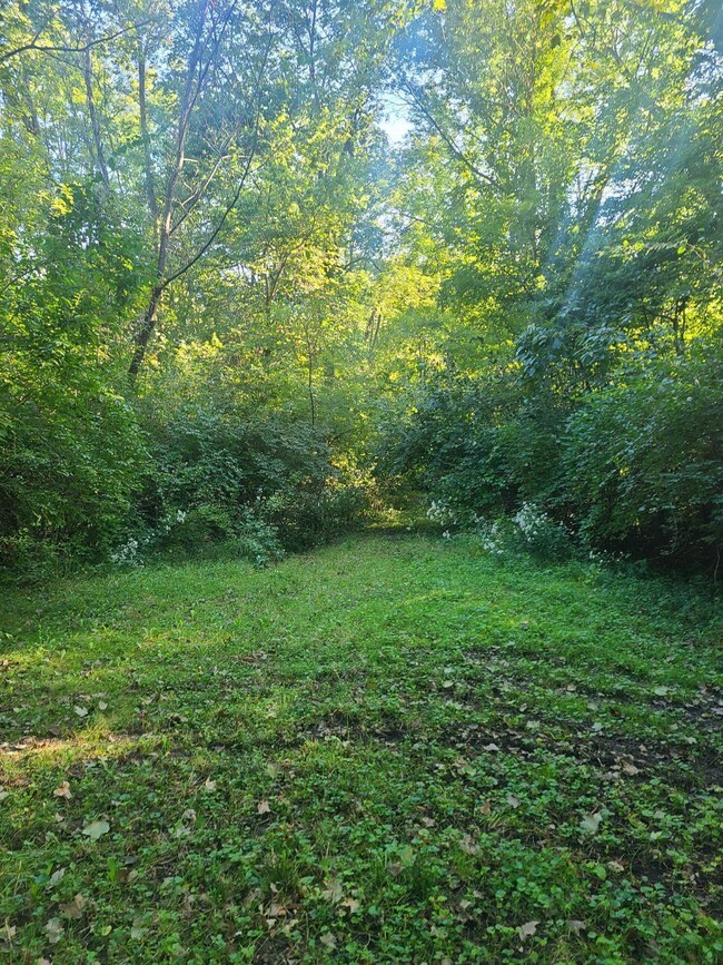 6911 Number Five Rd, Pleasant Plain, OH 45162 - photo 4