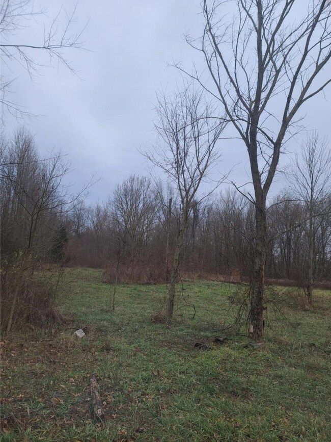 0 Long Branch Rd unit 193968, Brookville, IN 47024 - photo 4