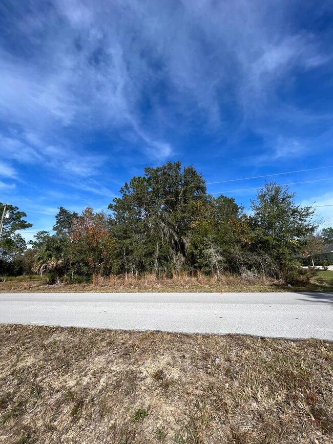 0 Bahia Terrace unit MFRS5139041, Ocala, FL 34472 - photo 3