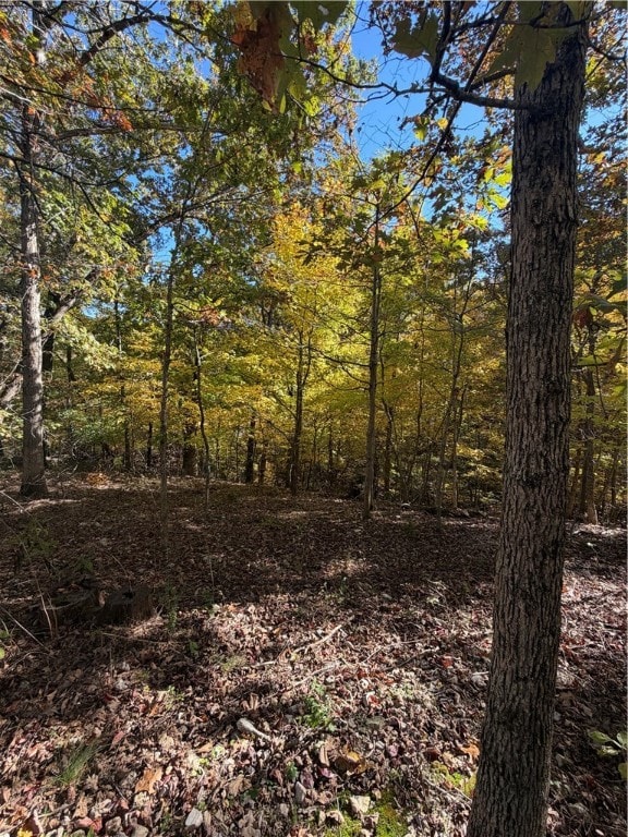 10 Talana Ln, Bella Vista, AR 72715 - photo 3