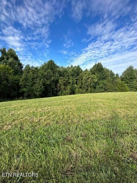 0 Knob Creek Rd unit 1309118, Wartrace, TN 37183 - photo 2