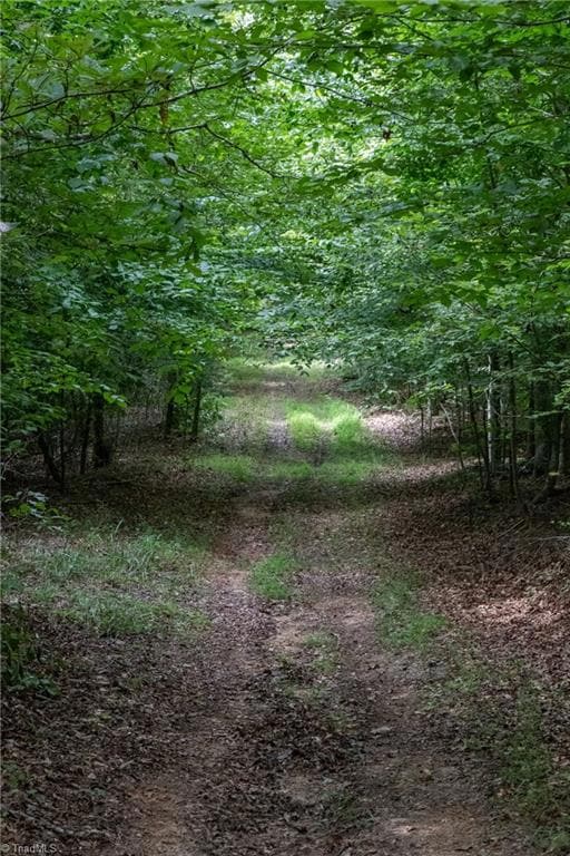 00 Peewee Cromer Rd, Danbury, NC 27016 - photo 5