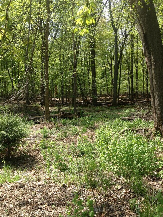 304 Washington St, Chelsea, MI 48118 - photo 5