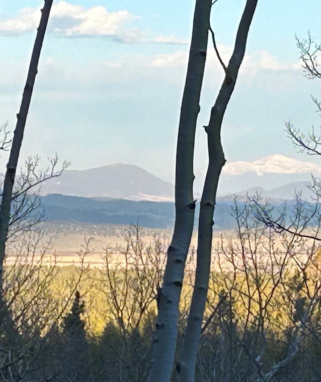 Mountain view