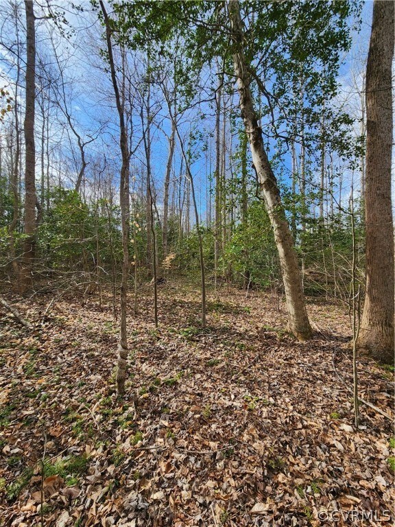 Potential homesite area
