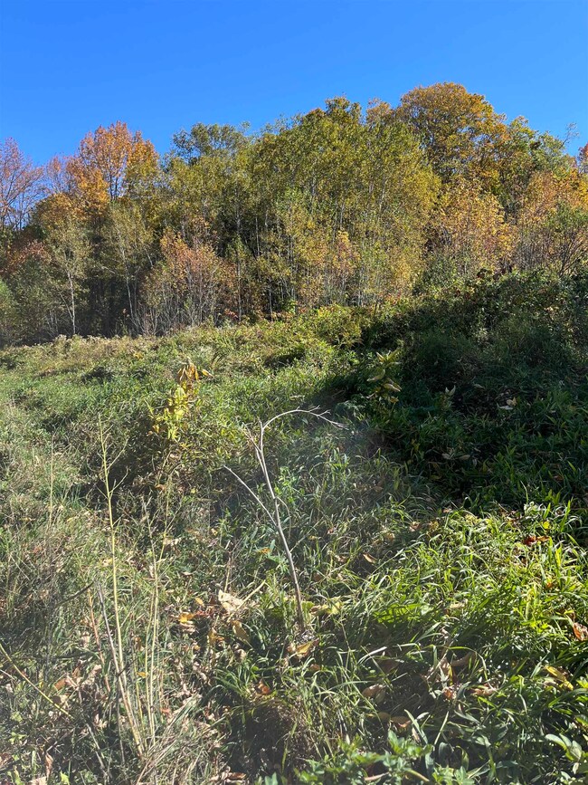 0 Leonard Rd, Pomfret, VT 05068 - photo 5