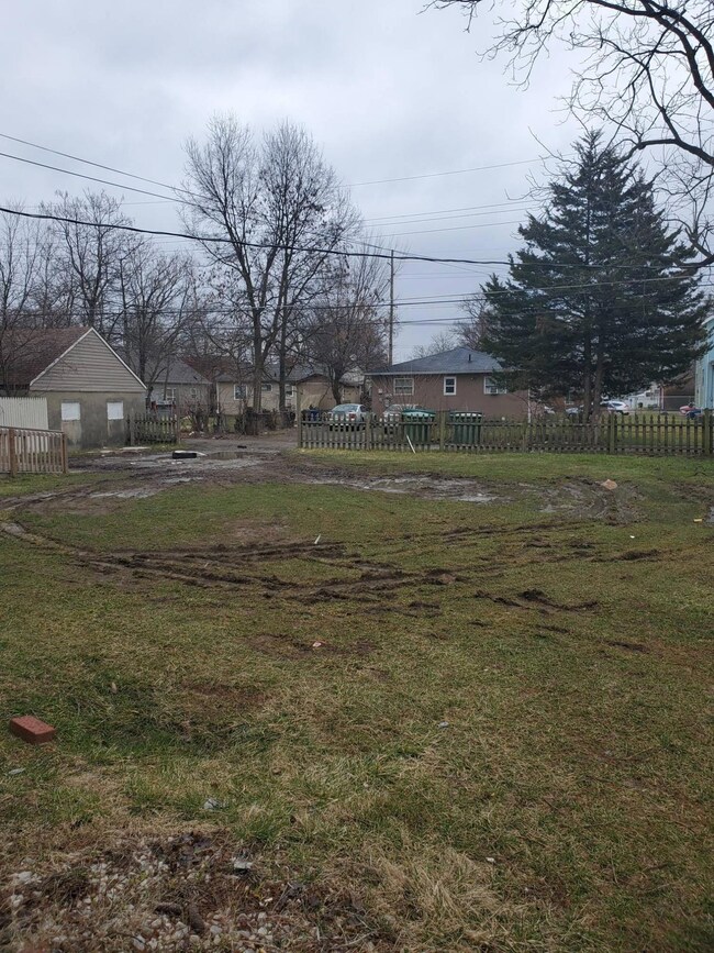 Back yard