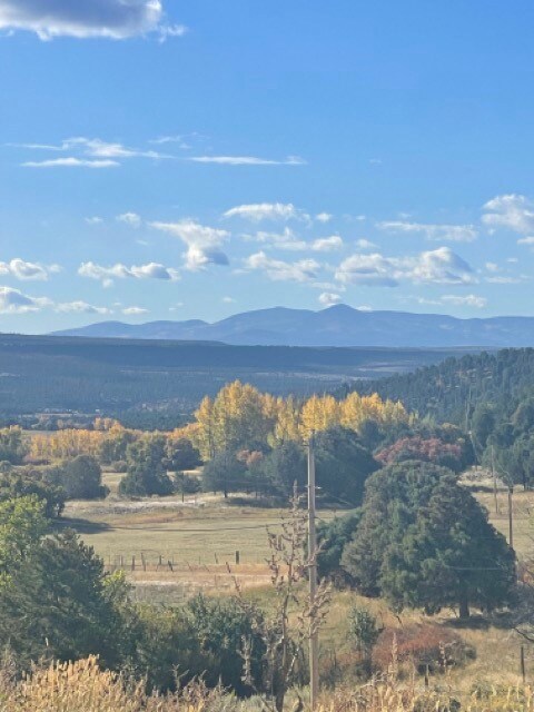 185 New Mexico 115, Canjilon, NM 87515 - photo 2