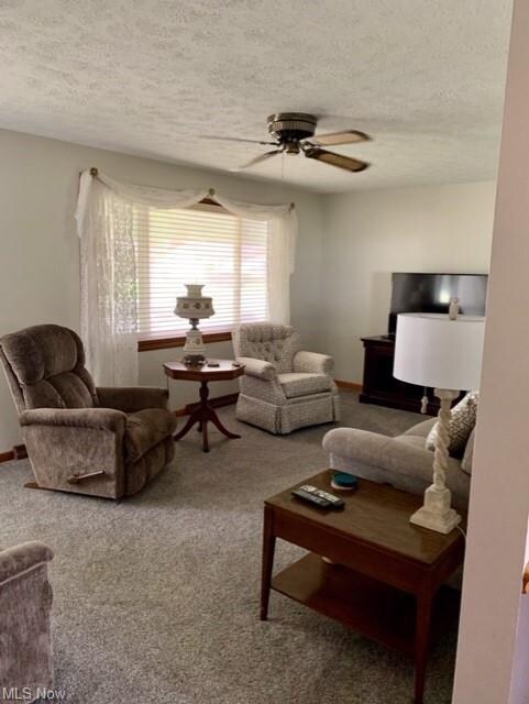 Spacious living room is graciously enhanced by lar
