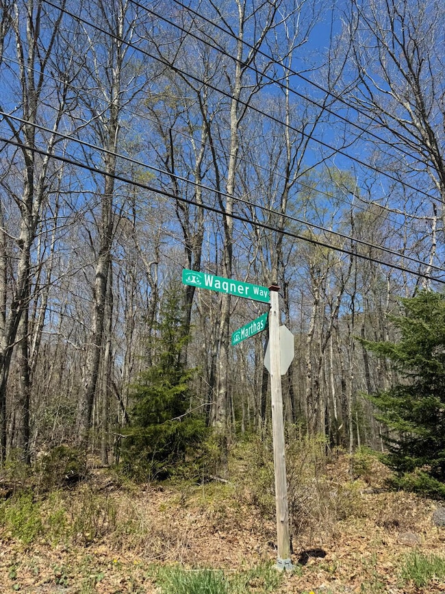 130 Wagner Way, Pocono Lake, PA 18347 - photo 2