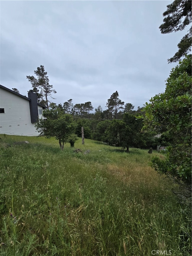 0 Pierce Ave unit NS25099504, Cambria, CA 93428 - photo 4