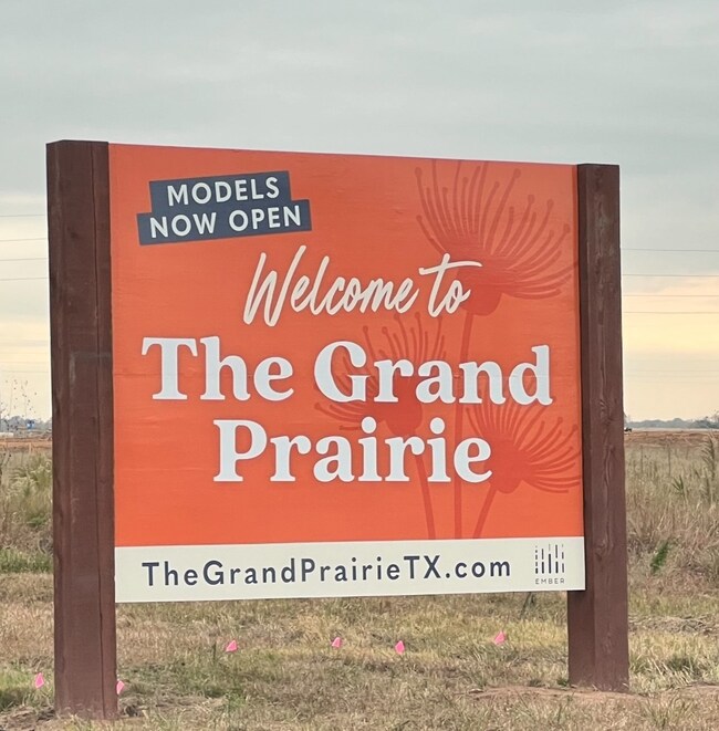 29031 Rolling Tundra Way, Hockley, TX 77447 - photo 3