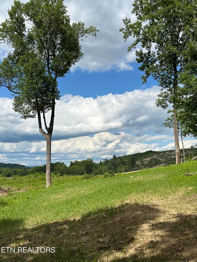 TBD Rd, Morristown, TN 37814 - photo 3