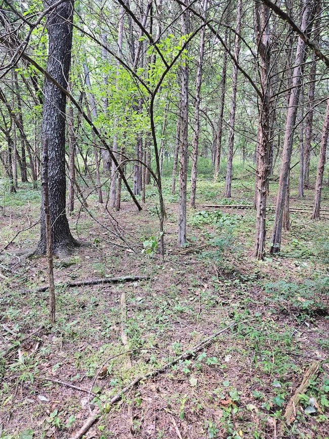3.39 acres Mossy Creek Rd, Mount Solon, VA 22843 - photo 4