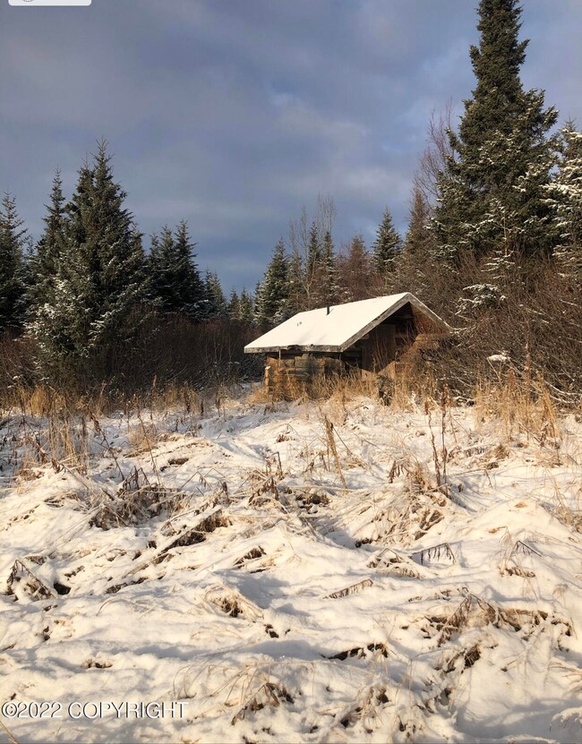 65300 Corabin Rd, Anchor Point, AK 99556 - photo 5