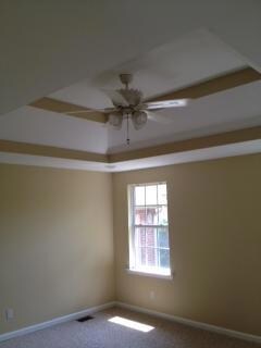 Trey Ceiling in master bedroom