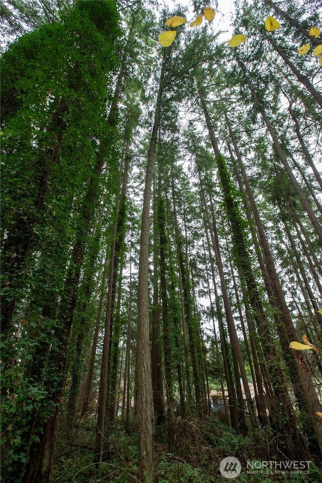 6493 20th Ave SE, Lacey, WA 98503 - photo 6