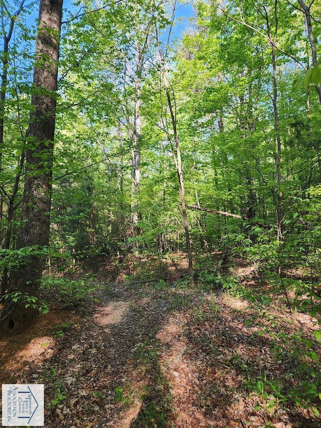 00 Woolwine Hwy, Woolwine, VA 24185 - photo 4