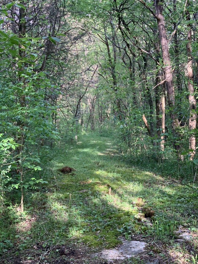 0 Central Pike unit RTC3048116, Lebanon, TN 37090 - photo 7