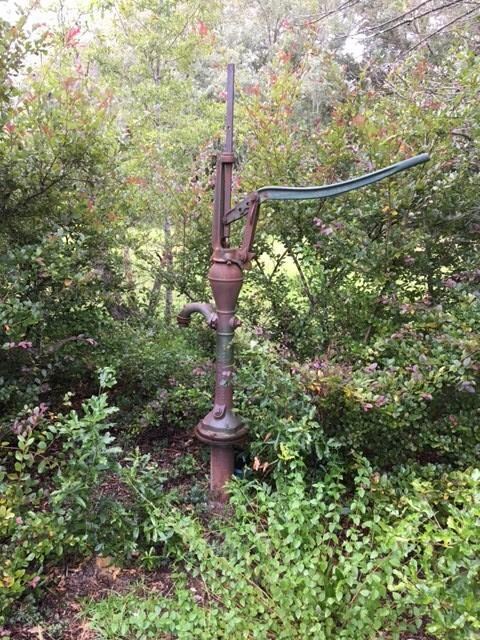 4 inch well needs pump