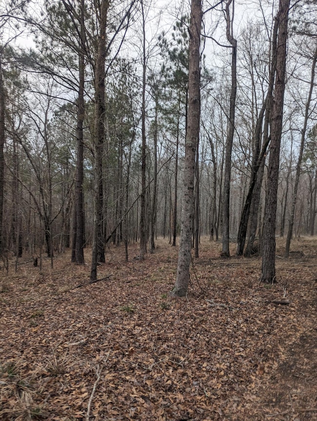 Lot G-12 James Booth's Ct, North Augusta, SC 29860 - photo 2