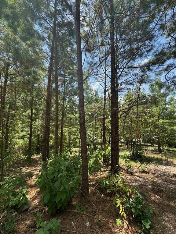 155 Charmed Ridge Ln, Hochatown, OK 74728 - photo 5