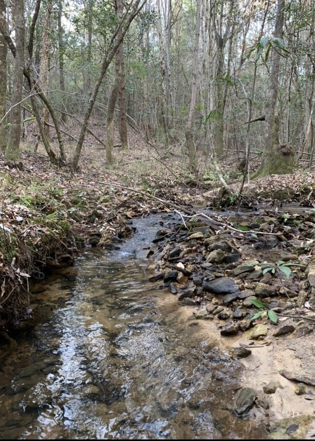 00 Sablefish Ln, Red Level, AL 36474 - photo 3