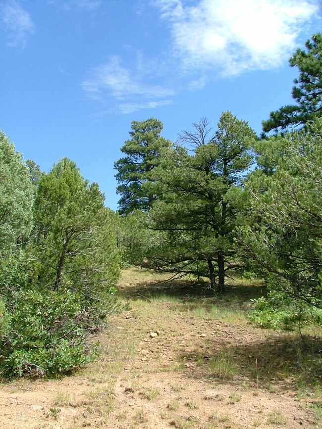lower_bench