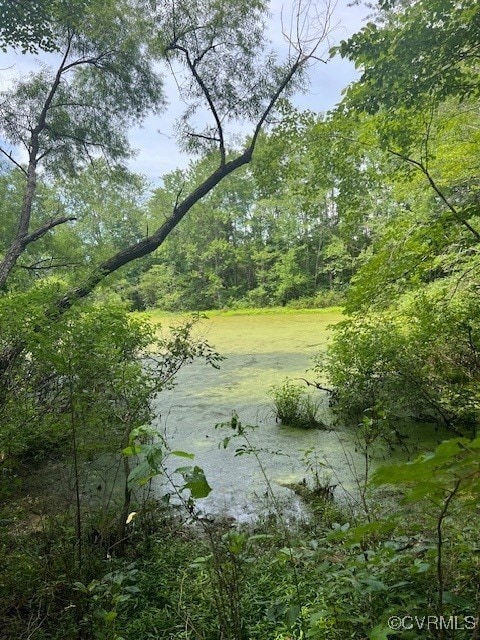 View of woods
