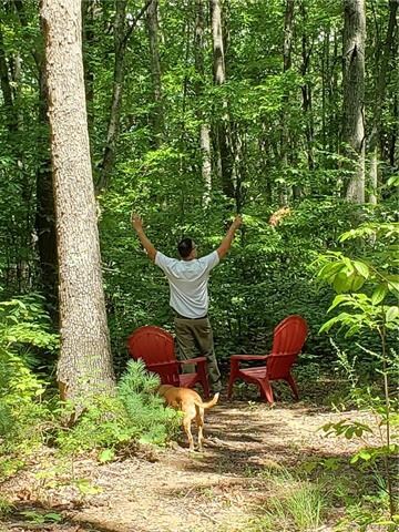 99999 Miranda Knoll, Leicester, NC 28748 - photo 7