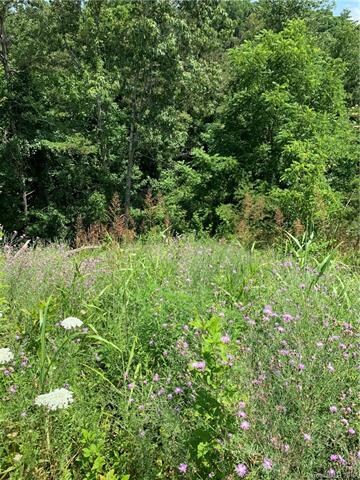 49 Alexander Ridge Dr, Leicester, NC 28748 - photo 3