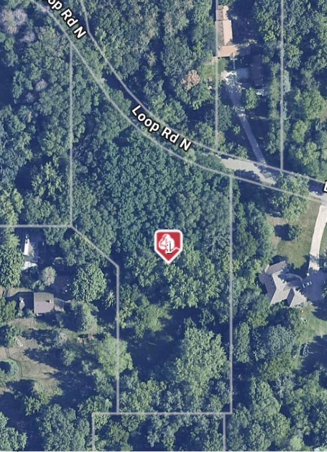 3211 Loop Rd N, Burnsville, MN 55306 - photo 3