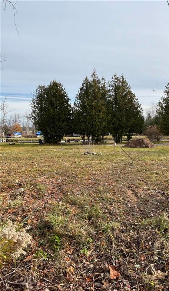 3141& 3145 Mingo Trail, Indian River, MI 49749 - photo 3