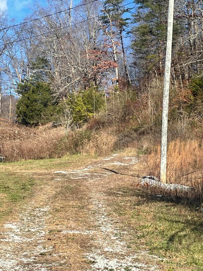 14645 Morehead Rd, Wallingford, KY 41093 - photo 2