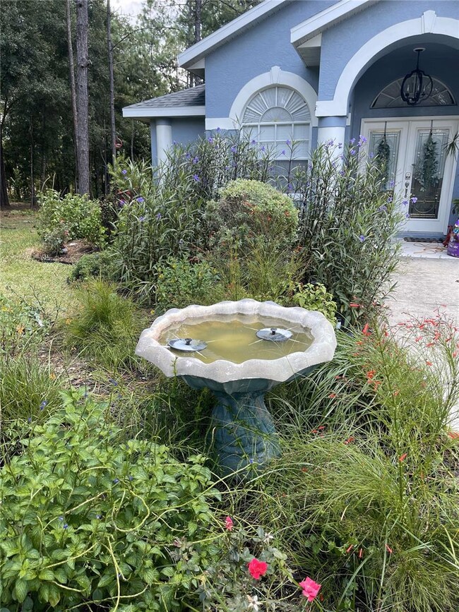 HOUSE FRONT BUTTERFLY GARDEN
