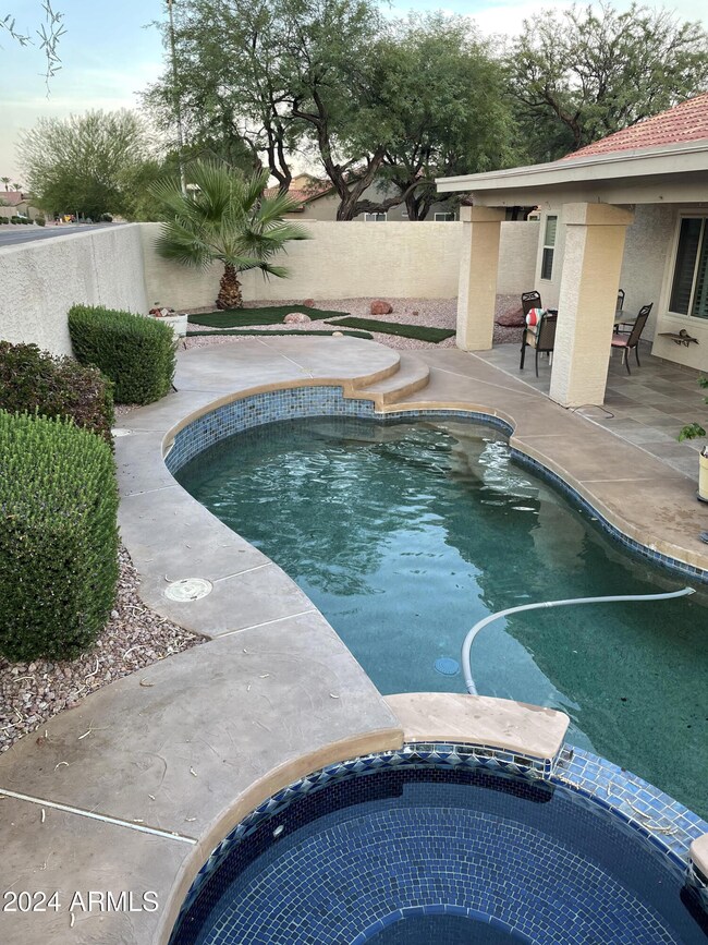 backyard 2