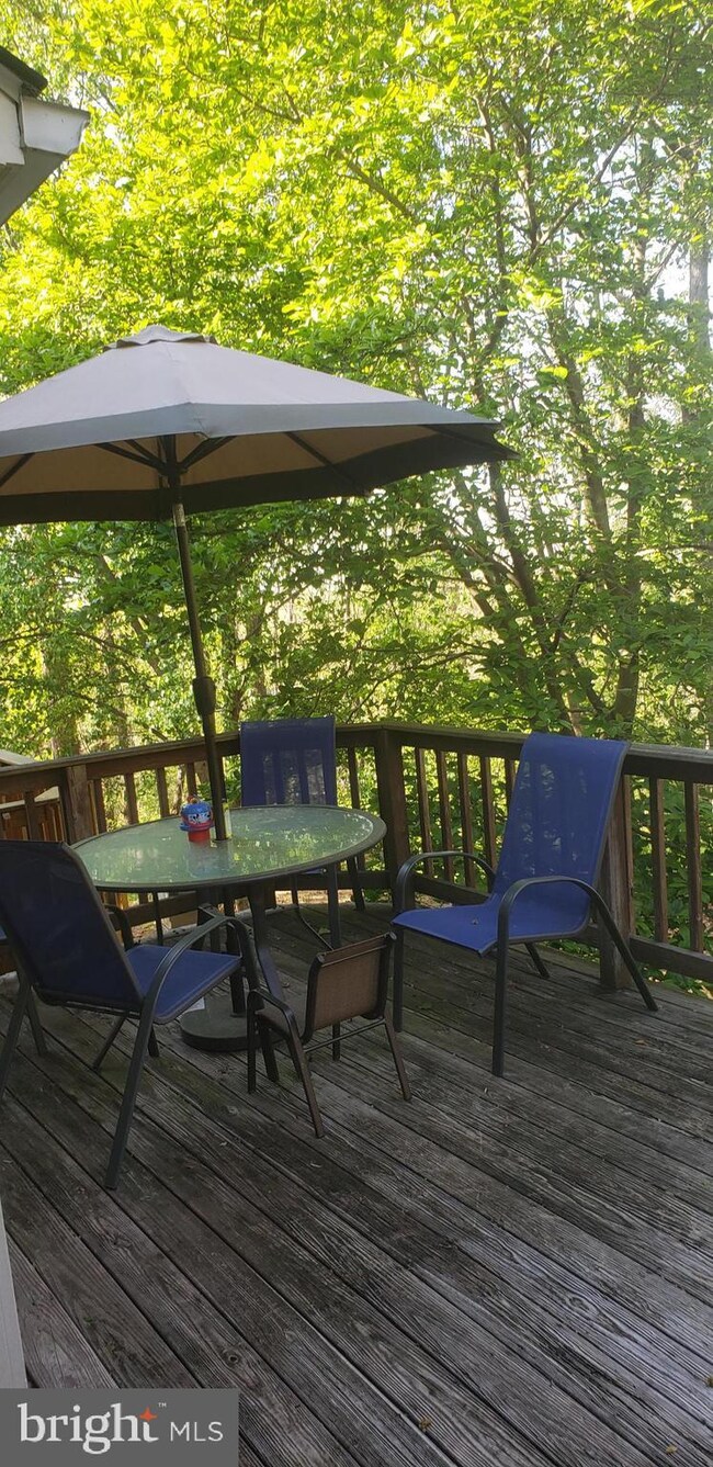 3650 Ransom Place, Alexandria, VA 22306 - photo 3