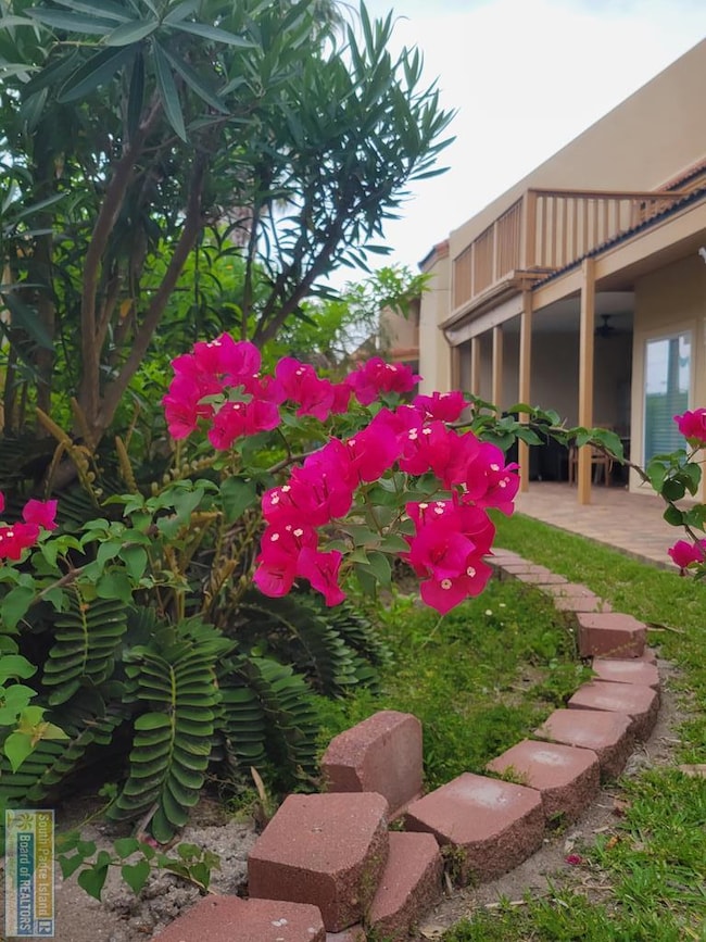 Tropical flowers