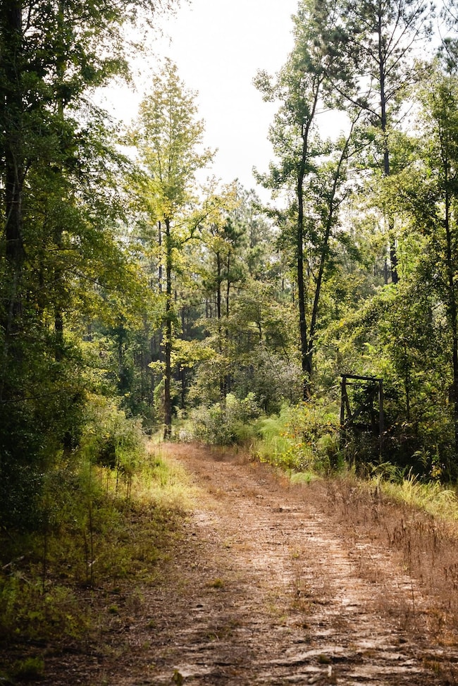 0 Grice Rd, Columbia, MS 39429 - photo 7