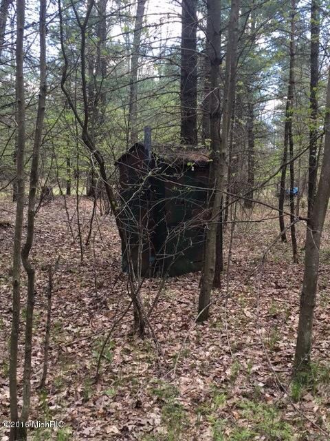 0 Del Vandall Rd unit 16023870, Chase, MI 49623 - photo 2