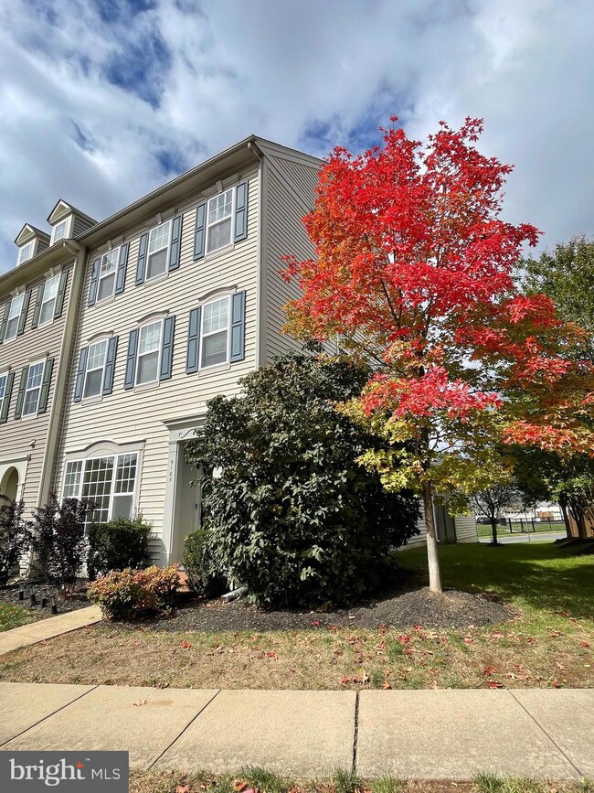 9180 Ribbon Falls Loop, Bristow, VA 20136 - photo 3