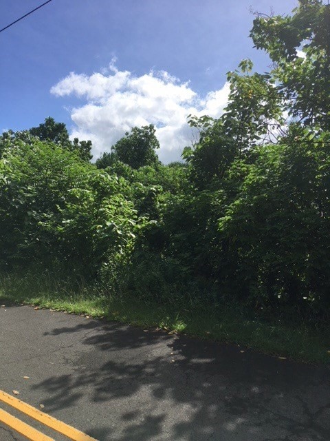 Lot is to the right.