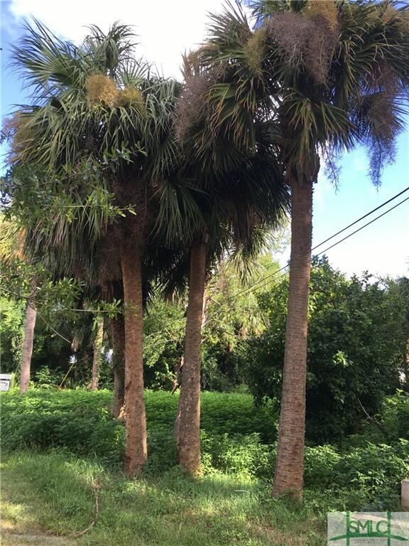 Imagine the breeze blowing through the palms and t