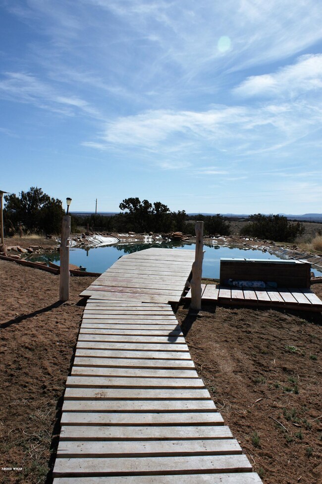 Pond Dock