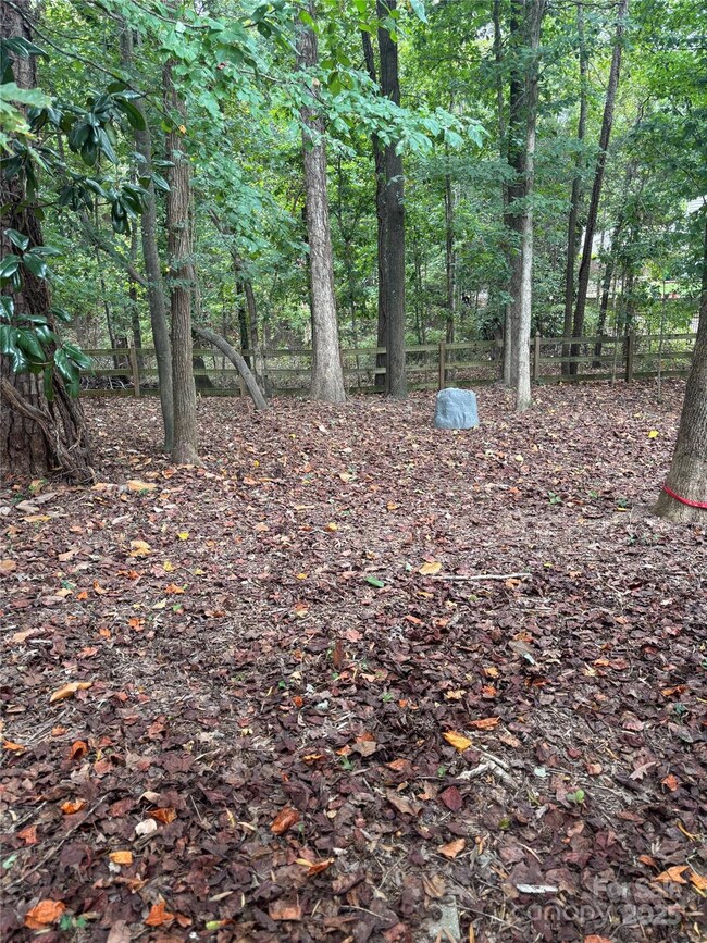 10624 Knox Ave unit 17, Matthews, NC 28105 - photo 4