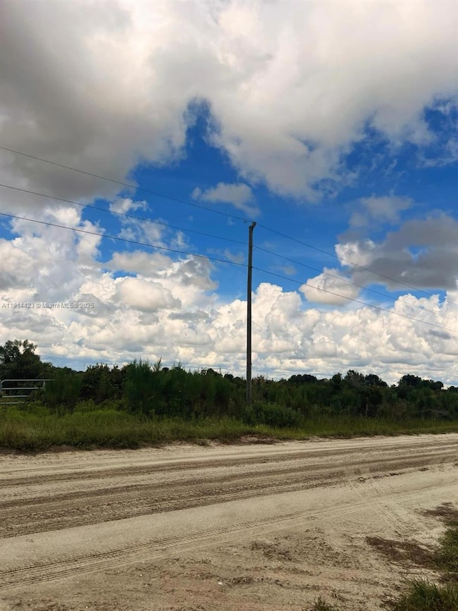 17385 NW 314th St, Okeechobee, FL 34972 - photo 3